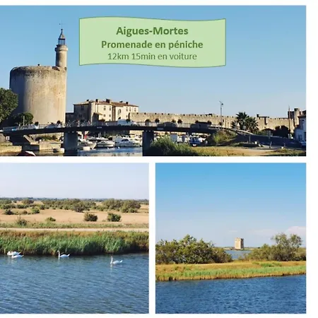 Rooftop Sur La Plage, Clim Et Wifi Fibre - Rossiconciergerie - Linge Inclus * La Grande-Motte