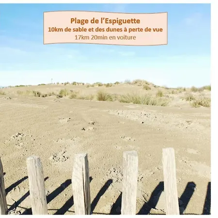 Apartment Rooftop Sur La Plage, Clim Et Wifi Fibre - Rossiconciergerie - Linge Inclus